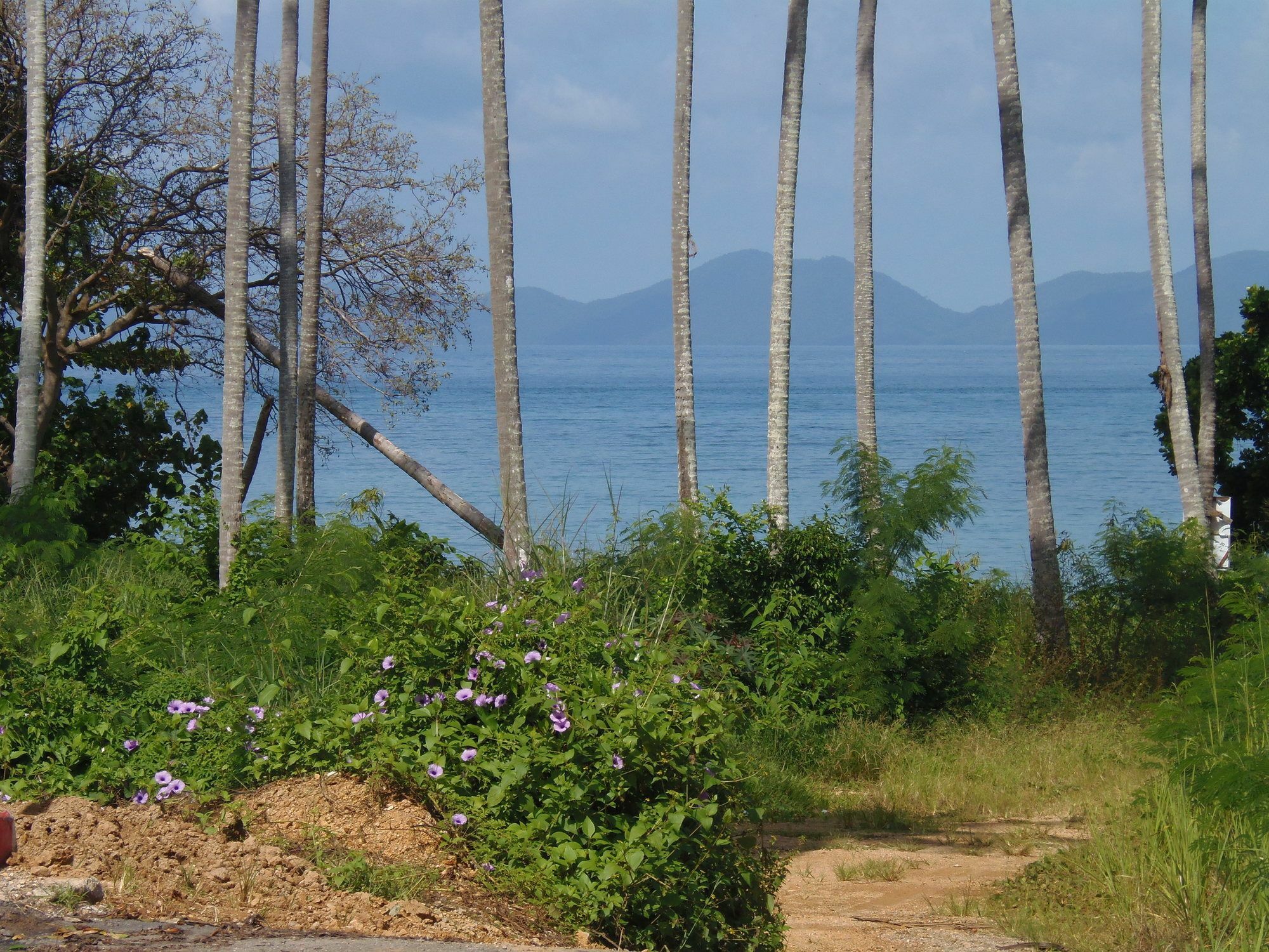 Elephants End Guesthouse Krabi Ao Nang المظهر الخارجي الصورة
